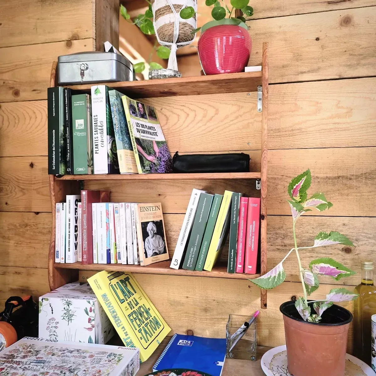La bibliothèque de la cabane
