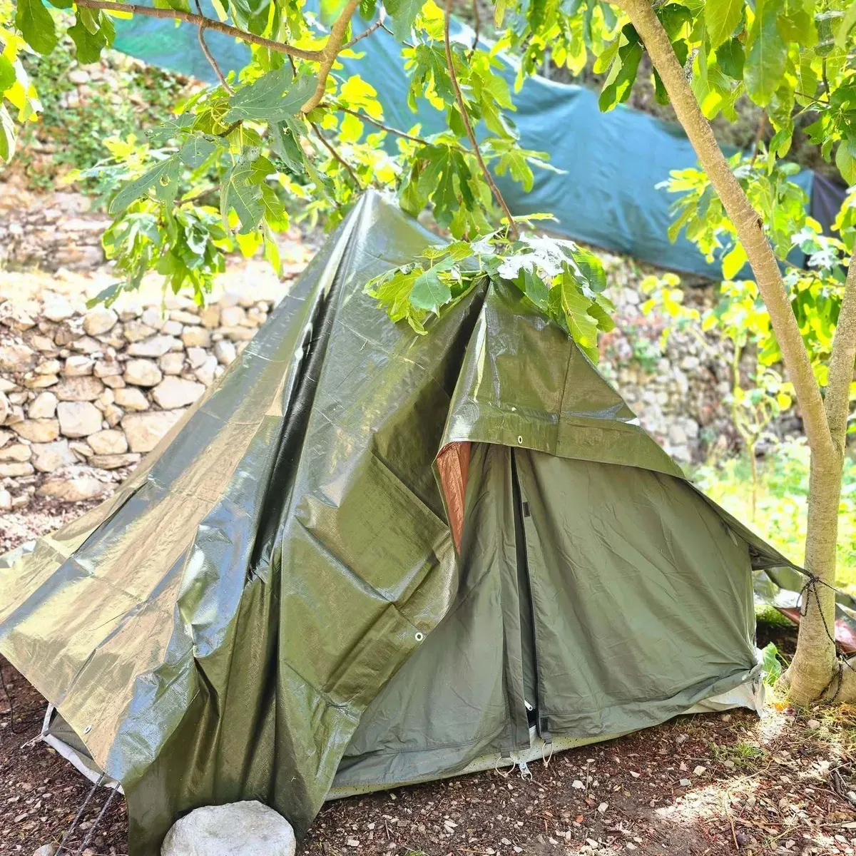 Une tente sous les arbres