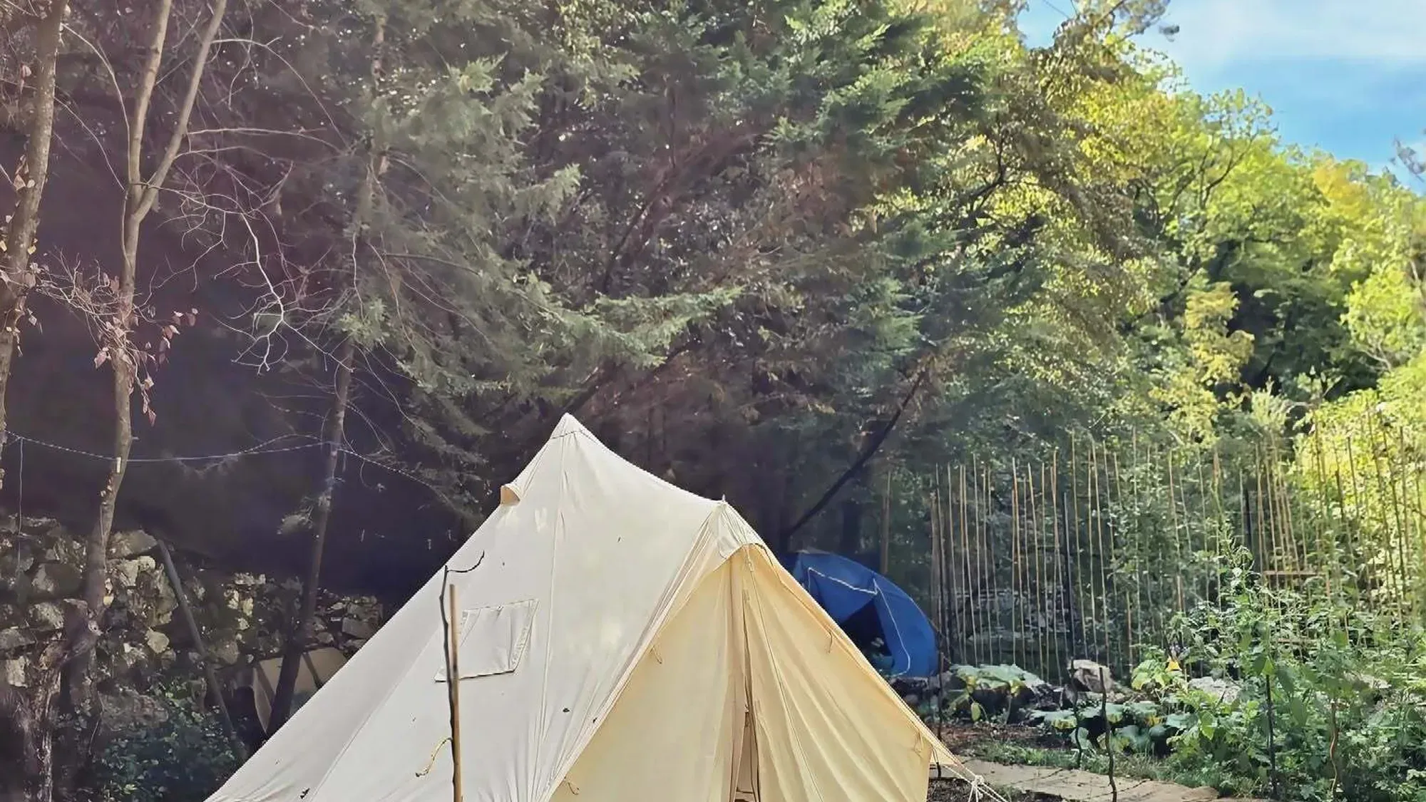 La tente sous les arbres, au bord de la rivière
