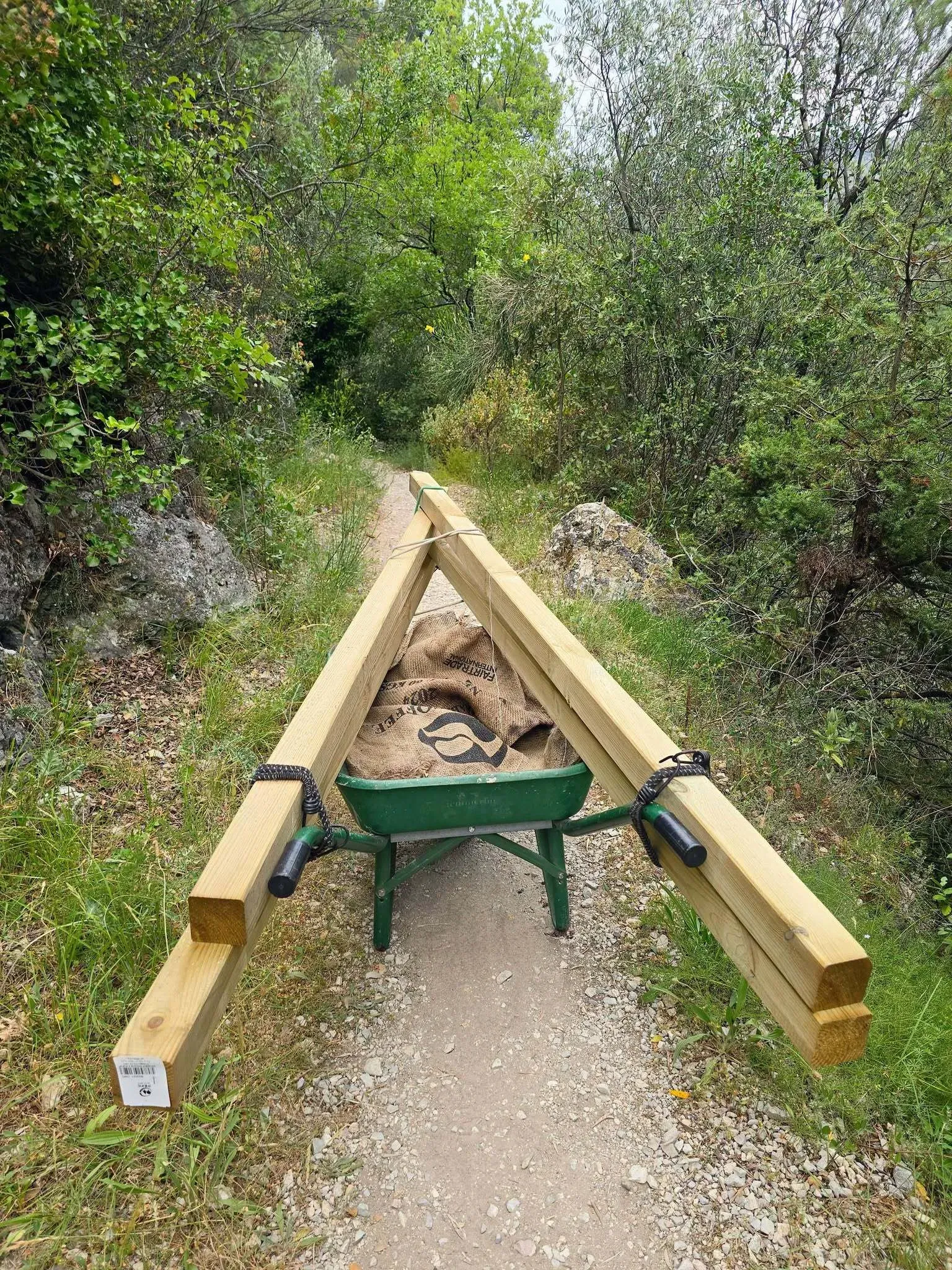 Une brouette chargée de poutres sur le chemin de la forêt